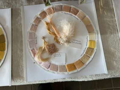 Dye samples from IFFS 2025 exhibit