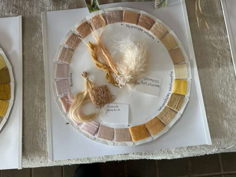 Dye samples from IFFS 2025 exhibit