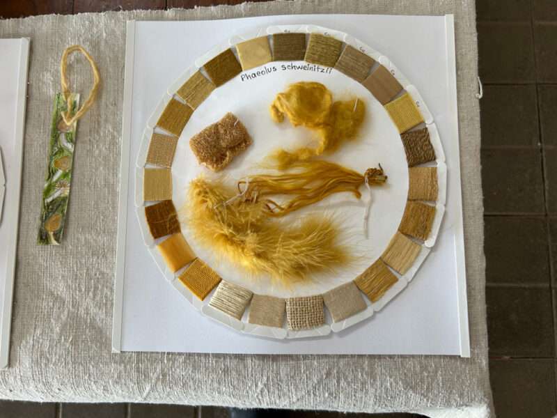 Dye samples from IFFS 2025 exhibit