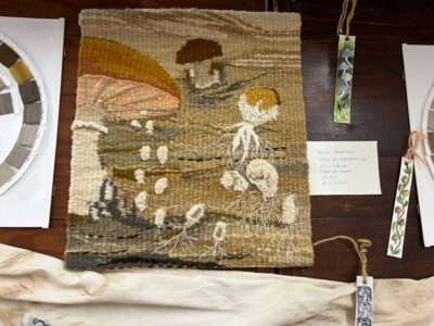 Dye samples from IFFS 2025 exhibit