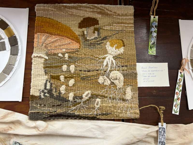 Dye samples from IFFS 2025 exhibit