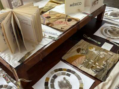 Dye samples from IFFS 2025 exhibit