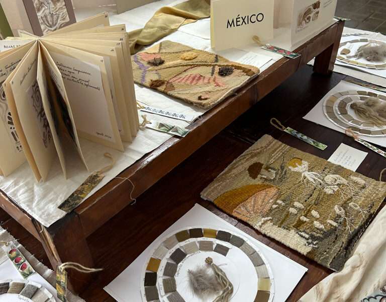 Dye samples from IFFS 2025 exhibit