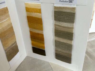 Dye samples from IFFS 2025 exhibit