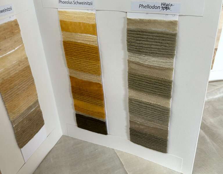 Dye samples from IFFS 2025 exhibit