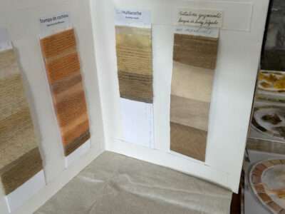 Dye samples from IFFS 2025 exhibit