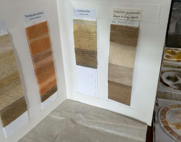 Dye samples from IFFS 2025 exhibit