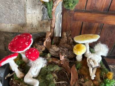 Forest floor from IFFS 2025 exhibit
