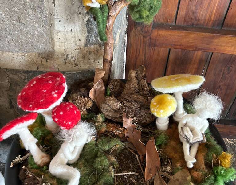 Forest floor from IFFS 2025 exhibit