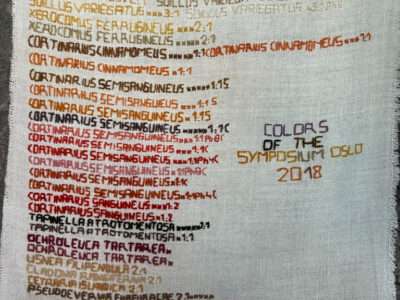 Embroidered hanging from IFFS 2025 exhibit