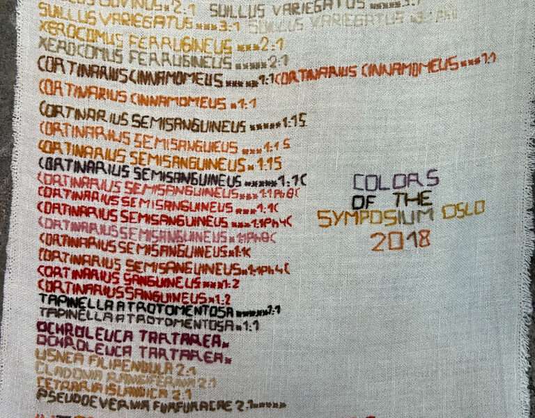 Embroidered hanging from IFFS 2025 exhibit