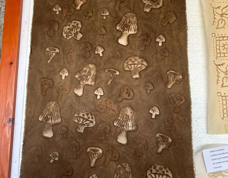 Wood block prints from IFFS 2025 exhibit
