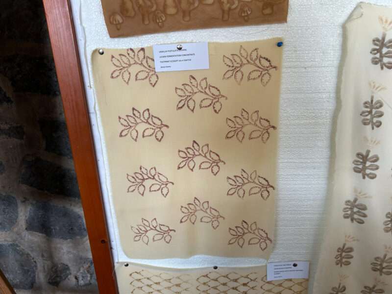 Wood block prints from IFFS 2025 exhibit